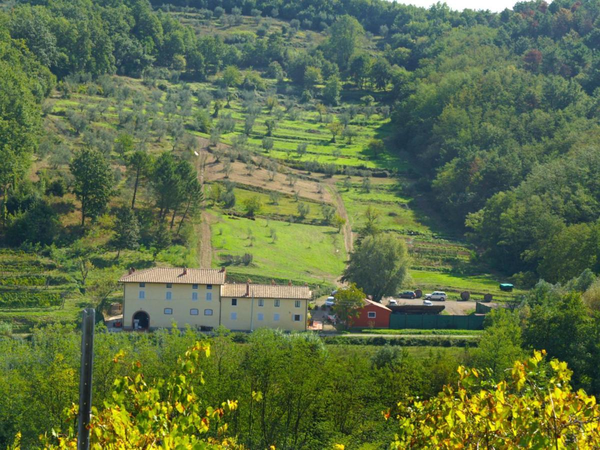 Apartment Aurora By Interhome Serravalle Pistoiese Eksteriør bilde